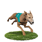 大頭家娛樂城娛樂城白金賽狗